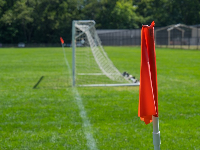 仅改善了农 仅改善了农