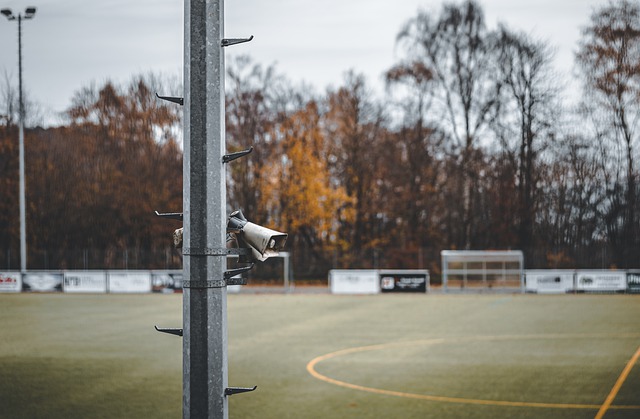 昔日的韧劲 昔日的韧劲