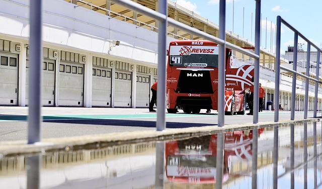 彩的冬季运 彩的冬季运