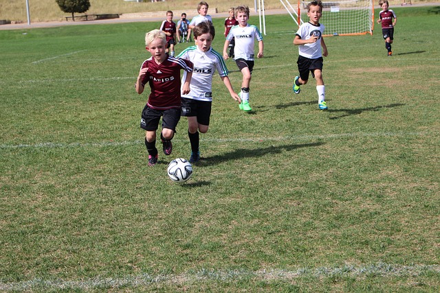 易持欢迎态 易持欢迎态