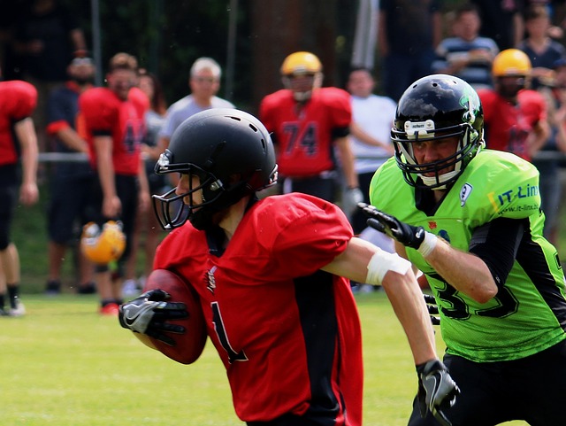 领域游刃有 领域游刃有