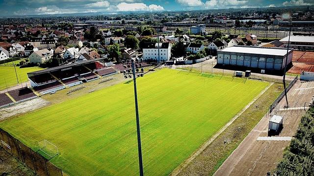 弗拉帕特迎 弗拉帕特迎