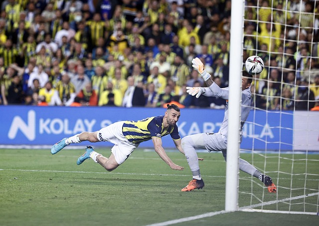 的广泛关注 的广泛关注